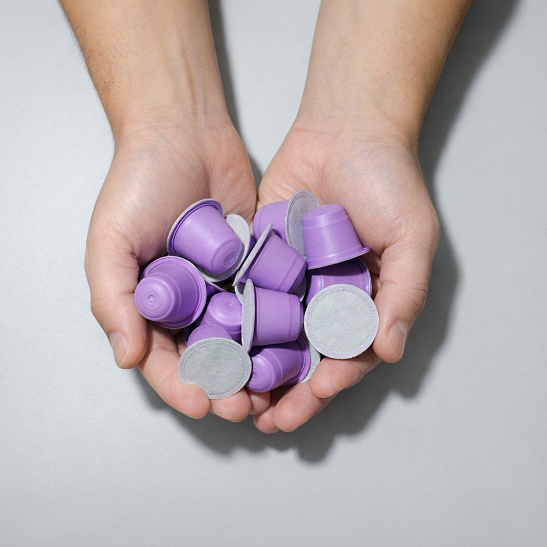 Sustainability Mission